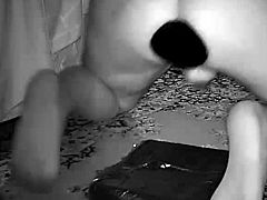 Buttplug B52 Ridding Black & White