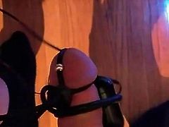 Estim and big vibrator on big cock great handsfree cum