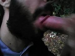 Tiergarten Blowjob