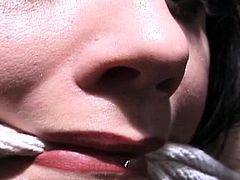 Hardcore mounds torment and ass spanking for ballgagged slut