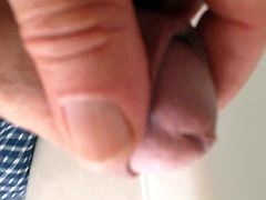 4th of July 2018 little clip