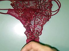 Cum ober panties then shreddered 2