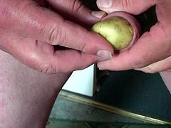 Potato foreskin, 1 large then 6 small