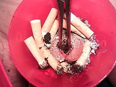 cockashtray 10