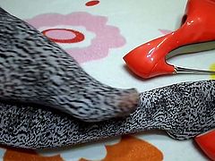 Leopard tights and red high-heeled shoes
