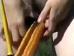 amateur girl fuck herself with corn