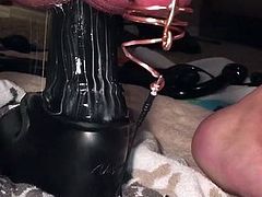 Chastity cage anal stretch