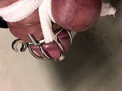 Handsfree cumming of bound cock