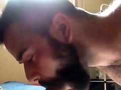 Swallowing Big Dick