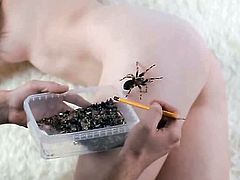brave nude woman with spider