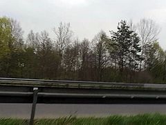 Autobahn dick flash