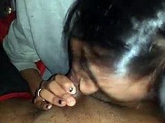 Srilankan sucking cock