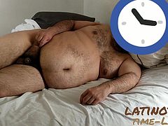 Latin Bear in Bed