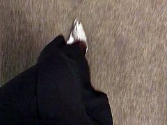 walking in my brown skirt suit