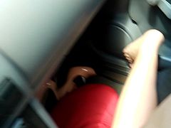 Anastacia wife blowjob in car show new pantie