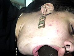 Cute amateur brunette gives pov blowjob and fuck