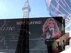 Vegas Heat Turns Wild And Wicked