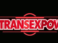 TRANSEXPOV You re Here
