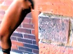 All XXX movies