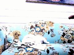 Cute amateur Asian web cam girl teases her great body